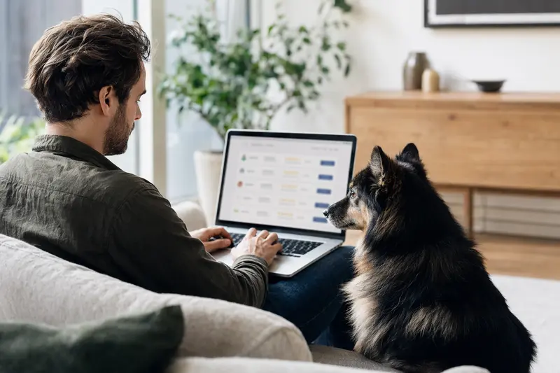 Besitzer sitzt mit Laptop auf dem Sofa neben einem Schwarz-roten Waschbärenhund und vergleicht Versicherungen.