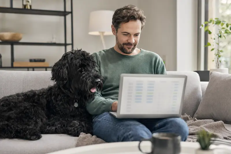 Ein Hundebesitzer arbeitet am Laptop auf dem Sofa, während sein schwarzer russischer Terrier neben ihm sitzt, umgeben von einer ruhigen Wohnung.