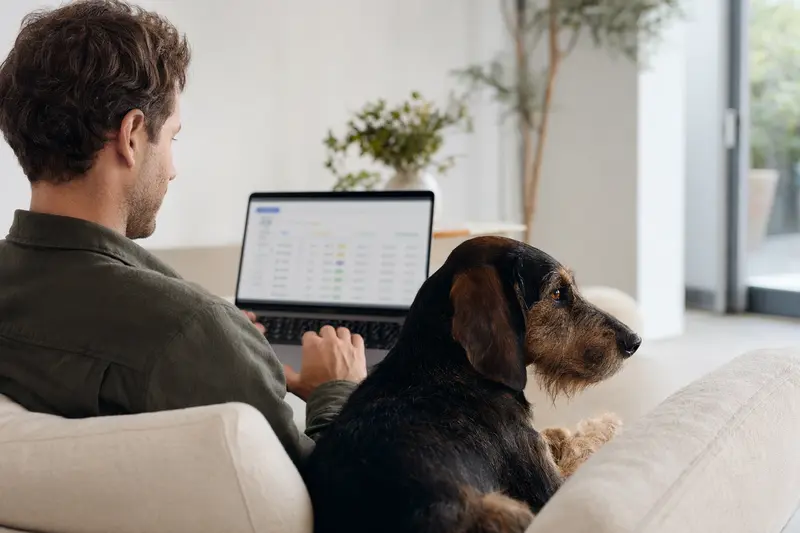 Ein Hundebesitzer sitzt mit einem Laptop auf dem Sofa, neben ihm liegt ein Schwarzwildbracke.
