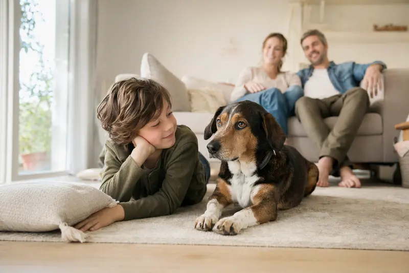 Ein freundlicher Schweizer Laufhund liegt entspannt neben einem Kind im hellen Wohnzimmer mit Eltern im Hintergrund und vermittelt eine sichere Familienatmosphäre.