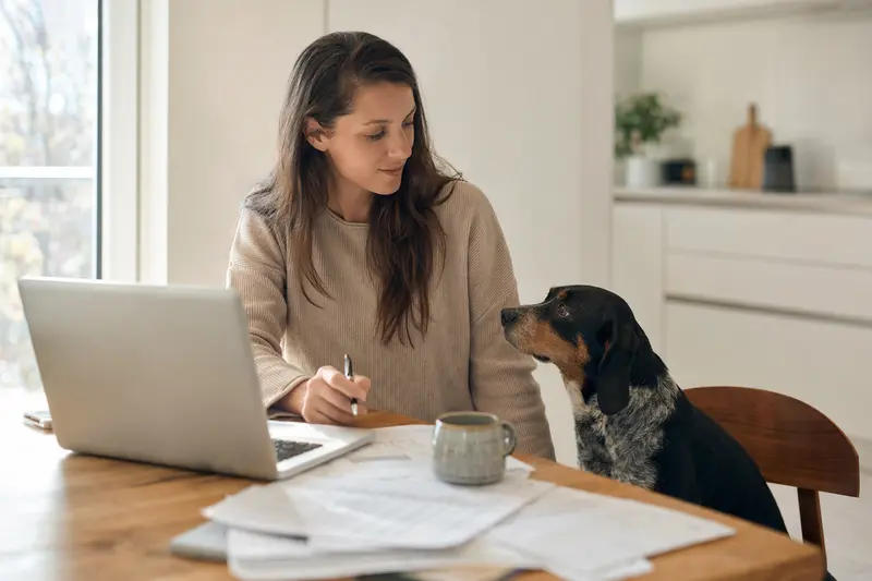 Ein Schwyzer Laufhund sitzt ruhig neben seinem Besitzer am Küchentisch mit Versicherungsunterlagen und einem Laptop zu einer Tierkrankenversicherung.
