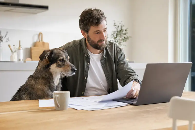 Ein Segugio-Hund sitzt ruhig neben seinem Besitzer am Küchentisch mit Versicherungsunterlagen und Laptop zu einer Hundekrankenversicherung.