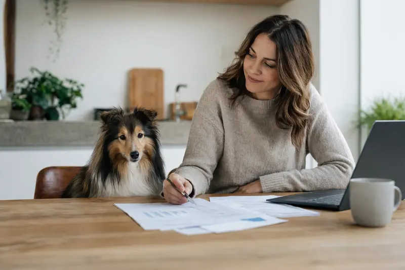 Ein Shetland Sheepdog sitzt ruhig neben seinem Besitzer am Küchentisch mit Versicherungsunterlagen und Laptop zur Hundeversicherung.