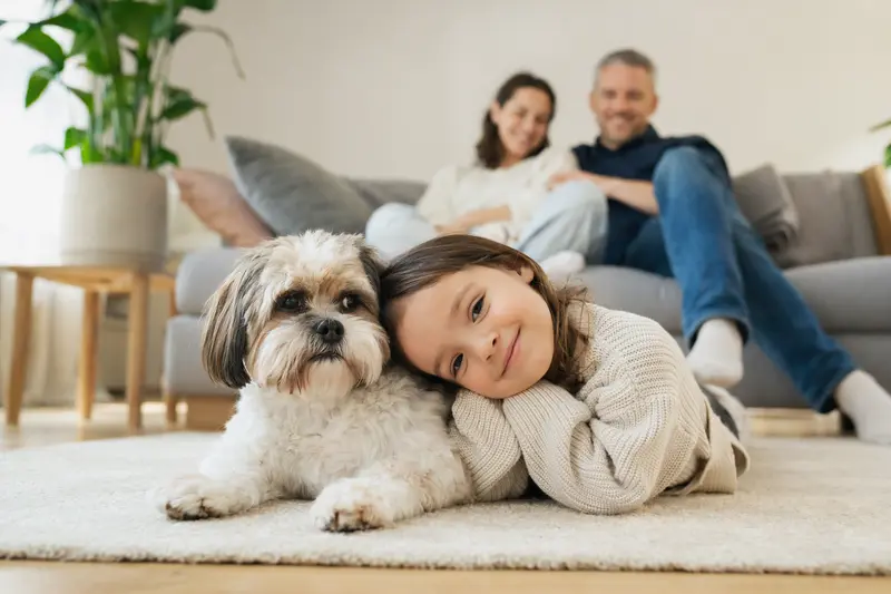 Ein freundlicher Shih Tzu liegt entspannt neben einem Kind im hellen Wohnzimmer, während die Eltern im Hintergrund stehen – ein harmonisches Bild zur Hundeversicherung.