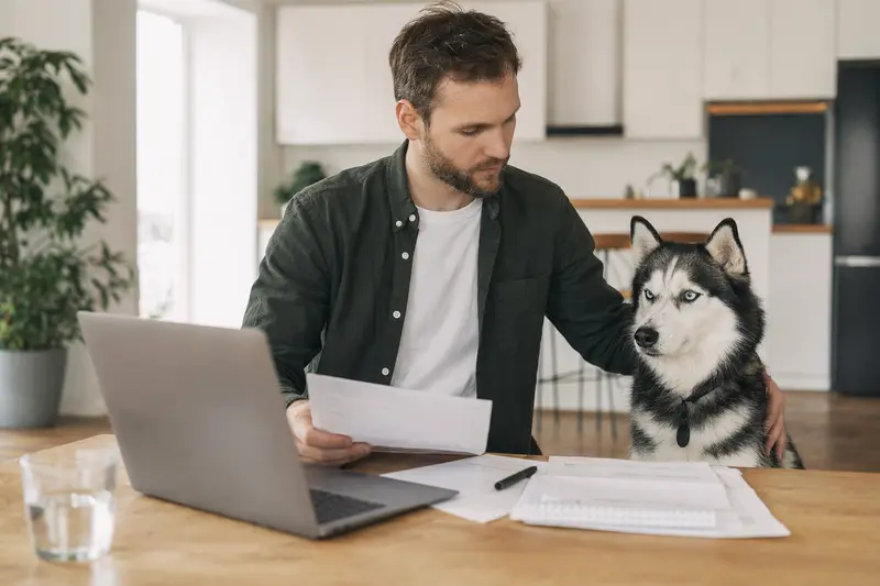 Ein Sibirischer Husky Hund sitzt entspannt neben seinem Besitzer, während sie am Küchentisch Versicherungsunterlagen und einen Laptop nutzen.
