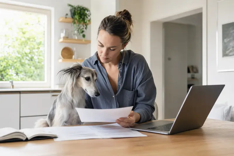Ein Silken Windsprite sitzt ruhig neben seinem Besitzer am Küchentisch mit Versicherungsunterlagen und Laptop zu Tierkrankenversicherung und Kostenvergleich.