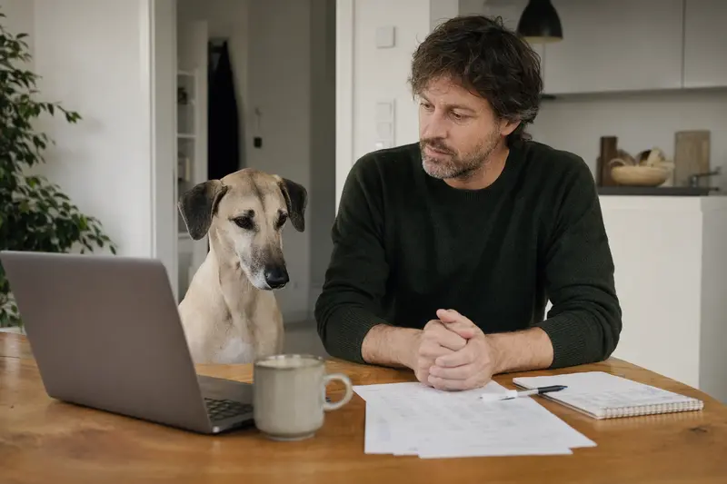 Ein Sloughi sitzt ruhig neben seinem Besitzer am Küchentisch mit Versicherungsunterlagen und Laptop zur Hundeversicherung.