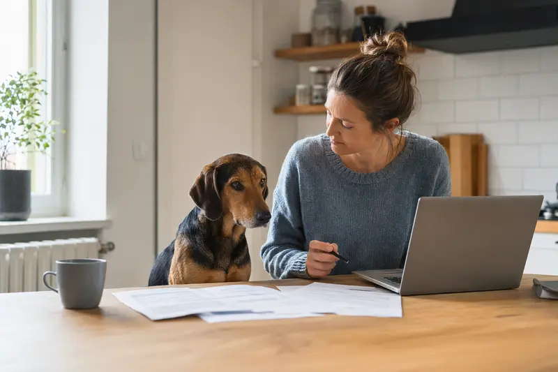 Ein Slowakischer Laufhund sitzt ruhig neben seinem Besitzer am Küchentisch mit Versicherungsunterlagen und Laptop zur Tierkrankenversicherung.