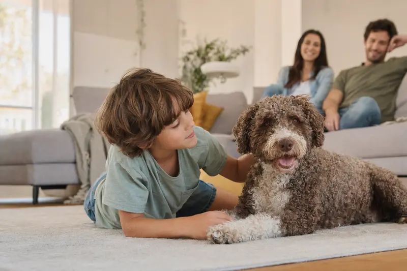 Ein freundlicher Spanischer Wasserhund liegt entspannt neben einem Kind im Wohnzimmer, während die Eltern im Hintergrund eine helle, sichere Familienatmosphäre schaffen.