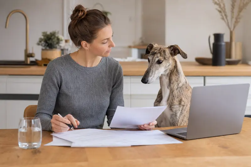 Ein Spanischer Windhund sitzt ruhig neben seinem Besitzer am Küchentisch mit Versicherungsunterlagen und Laptop zur Tierkrankenversicherung.