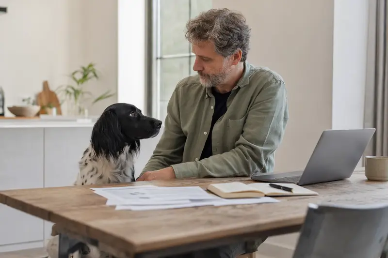 Ein Stabyhoun sitzt ruhig neben seinem Besitzer am Küchentisch mit Versicherungsunterlagen und einem Laptop zur Hundekrankenversicherung.