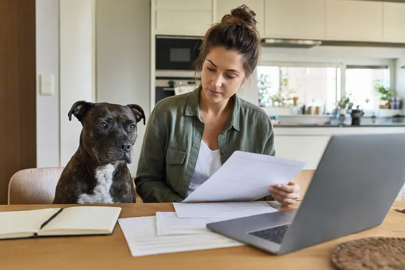 Ein Staffordshire Terrier sitzt ruhig neben seinem Besitzer am Küchentisch mit Versicherungsunterlagen und Laptop zur Hundeversicherung.
