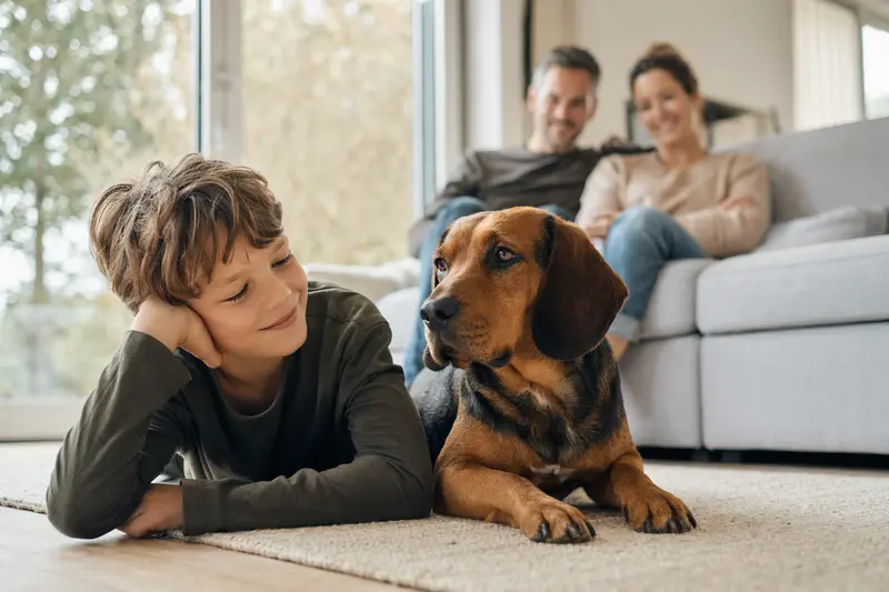 Ein freundlicher Steirische Bracke Hund liegt entspannt neben einem Kind im hellen Wohnzimmer, während die Eltern im Hintergrund eine sichere Familienatmosphäre schaffen.