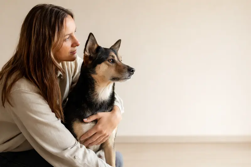 Ein aufmerksamer Taiwanhund steht in natürlicher Haltung vor hellem Hintergrund und zeigt die typische Körperform der Rasse.