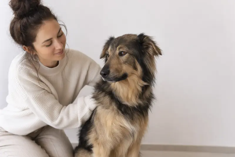Ein aufmerksamer Tatrahund steht in natürlicher Haltung vor hellem Hintergrund, als professionelles Hundeporträt mit klar erkennbarer Fellstruktur.