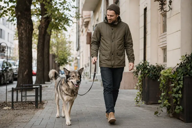 Ein Tatrahund läuft entspannt an der Leine mit seinem Besitzer durch eine moderne Stadtstraße im natürlichen Licht.