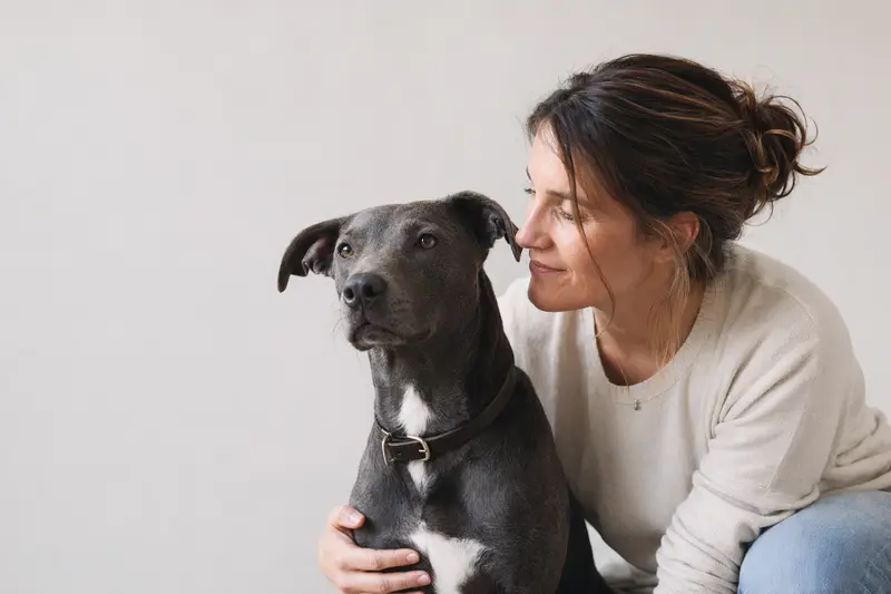 Ein aufmerksamer Texas Blue Lacy Hund steht in natürlicher Haltung vor hellem Hintergrund im realistischen Tierportrait.