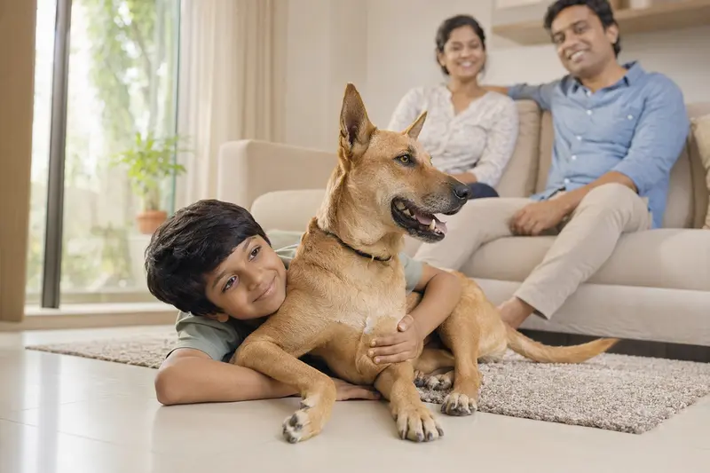 Ein freundlicher Thanjavurhund liegt entspannt neben einem Kind im hellen Wohnzimmer, während die Eltern im Hintergrund eine sichere Familienatmosphäre vermitteln.