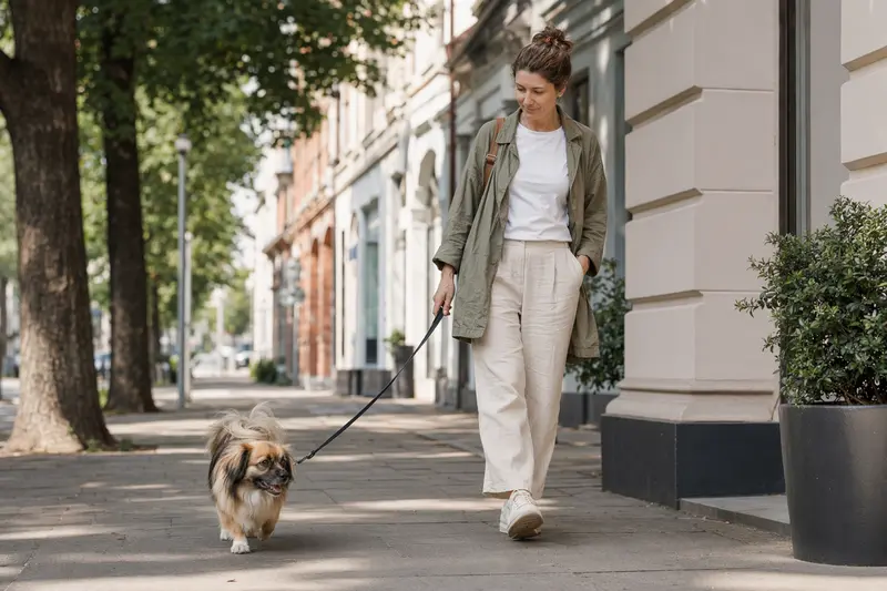 Ein Tibet-Spaniel läuft an der Leine mit seinem Besitzer durch eine moderne Stadtstraße.