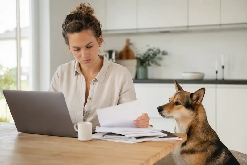 Ein Tora Inu sitzt ruhig neben seinem Besitzer am Küchentisch mit Versicherungsunterlagen und Laptop, passend zum Thema Hundekrankenversicherung.