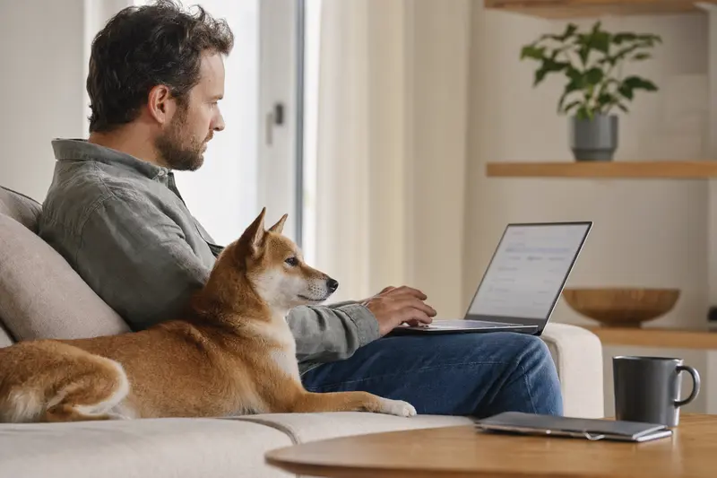Ein Hundebesitzer sitzt entspannt auf dem Sofa mit einem Laptop, während ein Tora Inu daneben liegt und auf einen ausgewogenen Versicherungsvergleich schaut.