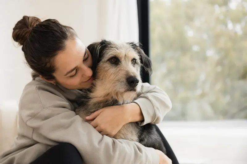 Ein Torfhund steht aufmerksam in natürlicher Haltung vor hellem Hintergrund und zeigt als professionelles Tierporträt seine typische Fellstruktur und Körperform.