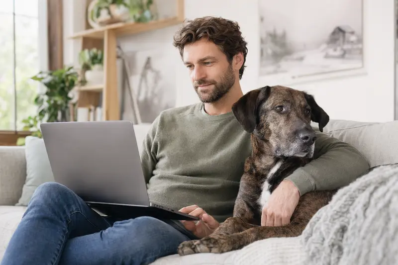 Ein Hundebesitzer sitzt entspannt auf dem Sofa mit einem Laptop, während ein Tosa Token Hund neben ihm sitzt; der Bildschirm zeigt eine unkenntliche Versicherungsvergleichsseite.