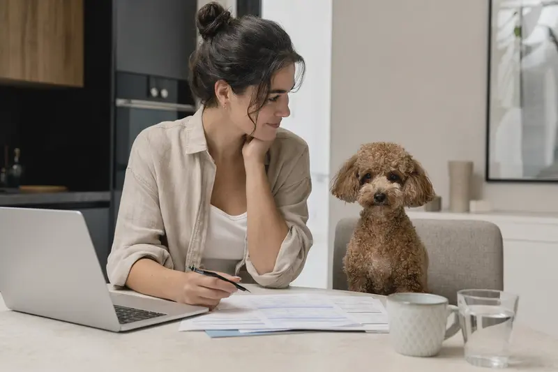 Ein Toy-Pudel sitzt ruhig neben seinem Besitzer am Küchentisch, während Versicherungsunterlagen und ein Laptop mit Vergleichsseite auf eine Hundeversicherung hinweisen.