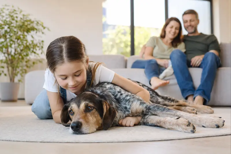 Ein Transsylvanischer Spürhund liegt entspannt neben einem Kind im hellen Wohnzimmer und vermittelt Familiennähe und Sicherheit.