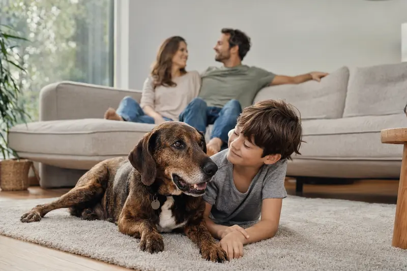 Ein Treeing Tennessee Brindle Coonhound liegt entspannt neben einem Kind im hellen Wohnzimmer, während die Eltern im Hintergrund eine sichere Familienatmosphäre schaffen.