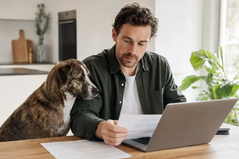 Ein Treeing Tennessee Brindle sitzt ruhig neben seinem Besitzer am Küchentisch mit Versicherungsunterlagen und einem Laptop zur Hundekrankenversicherung.