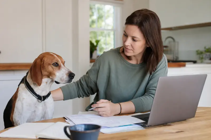 Ein Treeing Walker Coonhound sitzt ruhig neben seinem Besitzer am Küchentisch mit Versicherungsunterlagen und einem Laptop mit neutraler Vergleichsseite.