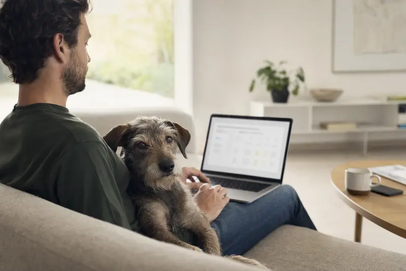 Ein Hundebesitzer sitzt entspannend mit einem Laptop auf dem Sofa und vergleicht Versicherungen für seinen tschechischen Stichelhaar Hund.