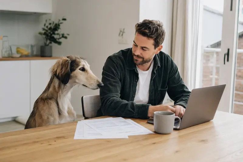Ein Tuareg-Windhund sitzt ruhig neben seinem Besitzer am Küchentisch mit Versicherungsunterlagen und Laptop zur Tierkrankenversicherung.