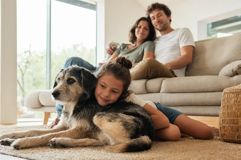Ein freundlicher Turnspit Dog liegt entspannt neben einem Kind im hellen Wohnzimmer, während die Eltern im Hintergrund eine sichere Familienatmosphäre schaffen.