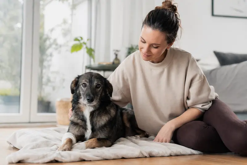 Ein Turnspit Dog liegt mit leichtem Verband an der Pfote ruhig auf einer Decke, während sein Besitzer erleichtert neben ihm sitzt.
