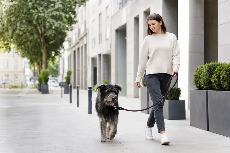 Ein angeleinter Ungarischer Schäferhund läuft mit seinem Besitzer entspannt durch eine moderne Stadtstraße.