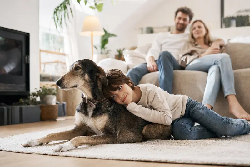 Ein Ungarischer Windhund liegt entspannt neben einem Kind im Wohnzimmer, während die Eltern im Hintergrund eine sichere Familienatmosphäre schaffen.