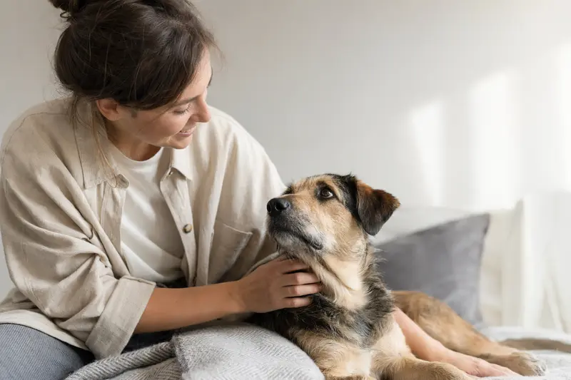 Ein Urrador Hund steht aufmerksam vor hellem Hintergrund und zeigt die typische Körperform dieser Hunderasse in einem hochwertigen Tierporträt.