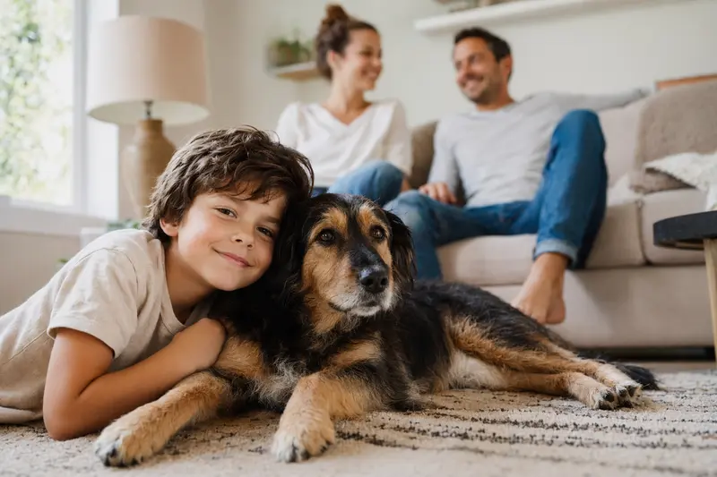 Ein freundlicher Hund mit angeborenem viertem Augenlid liegt entspannt neben einem Kind im Wohnzimmer einer hellen Familienwohnung.
