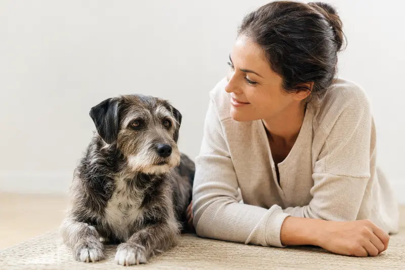 Ein Vieräugl Hund steht aufmerksam in natürlicher Haltung vor hellem Hintergrund und zeigt die typische Fellstruktur der Rasse.