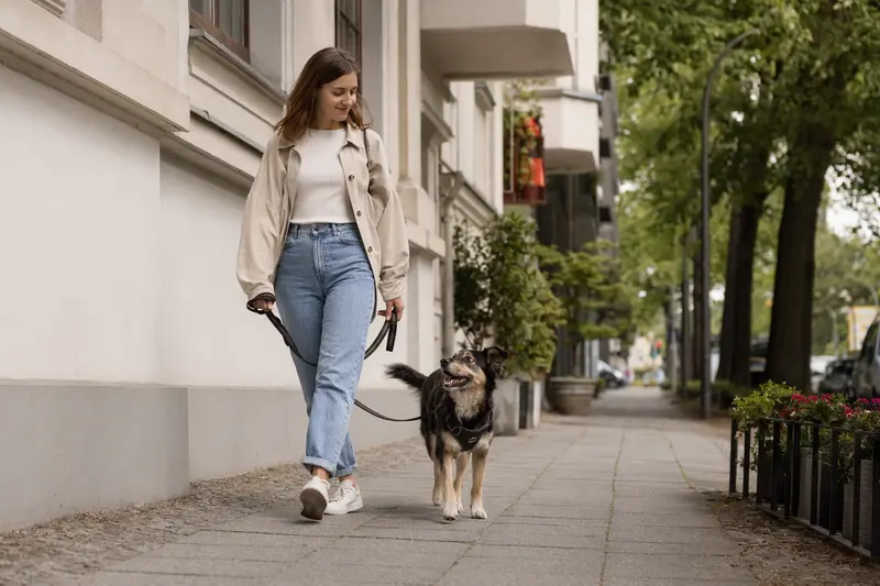 Ein Vieräugl Hund läuft an der Leine mit seinem Besitzer durch eine moderne Stadtstraße im Alltag.