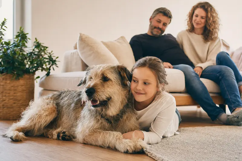 Ein entspannter Villanuco de Las Encartaciones Hund liegt neben einem Kind im Wohnzimmer und schafft eine warme, familiäre Atmosphäre.