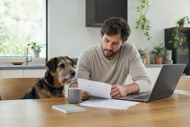 Ein Villanuco de Las Encartaciones Hund sitzt neben seinem Besitzer am Küchentisch, auf dem Versicherungsunterlagen und ein Laptop liegen.