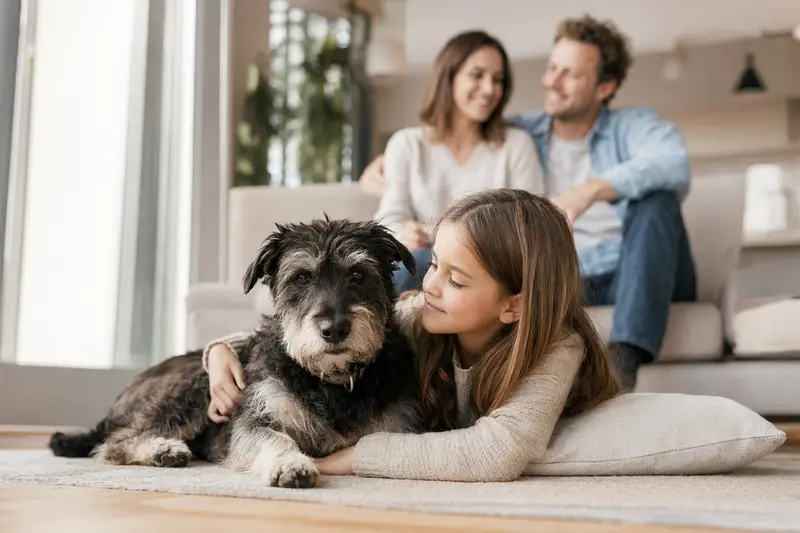 Ein entspannter Viringo Hund liegt neben einem Kind im lichtdurchfluteten Wohnzimmer der Familie.