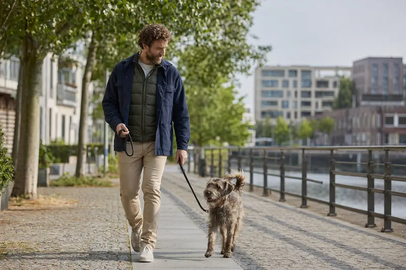 Ein Waterside Terrier läuft an der Leine mit seinem Besitzer durch eine freundliche moderne Stadtstraße im Alltag.