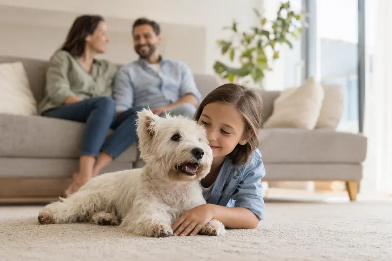 Ein West Highland White Terrier liegt entspannt neben einem Kind im Wohnzimmer, während die Eltern im Hintergrund eine warme und sichere Familienatmosphäre schaffen.