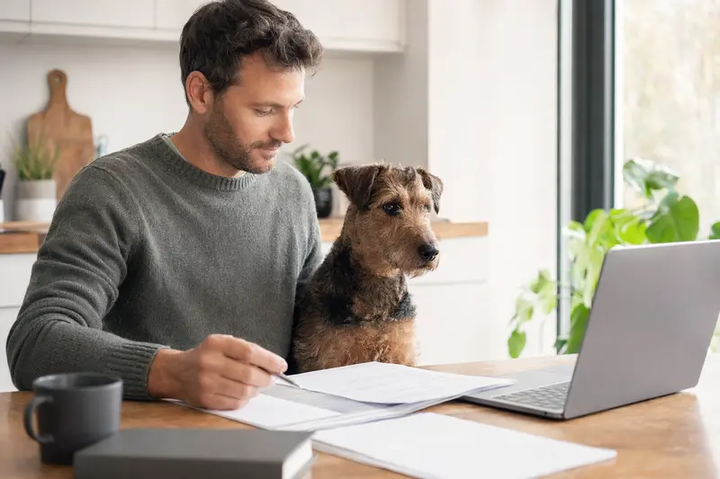 Ein Westfalenterrier sitzt ruhig neben seinem Besitzer am Küchentisch mit Versicherungsunterlagen und einem Laptop, passend zum Thema Hundekrankenversicherung.