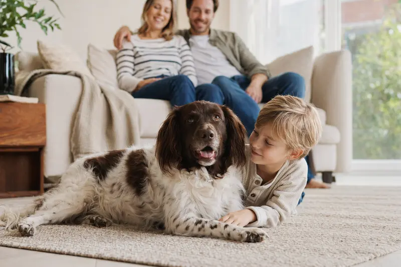 Ein freundlicher Wetterhoun Hund liegt entspannt neben einem Kind im Wohnzimmer und schafft eine warme Familienatmosphäre.