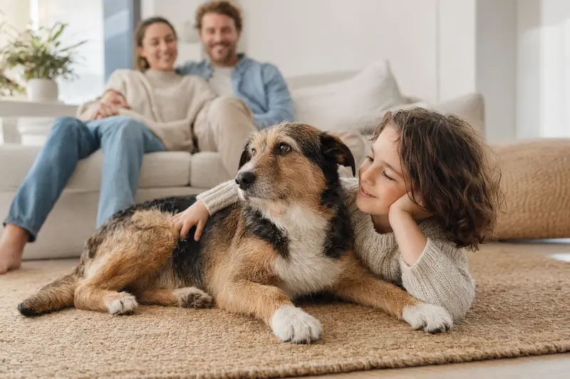 Ein freundlicher Zavod Hund liegt entspannt neben einem Kind im hellen Wohnzimmer, während die Eltern im Hintergrund eine sichere Familienatmosphäre schaffen.